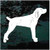 Mountain Cur Profile car window decals stickers