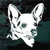 Nice Chihuahua Head car window decals stickers