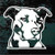 Detailed Pitbull Head car window decals stickers
