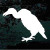 Buzzard Decals Stickers