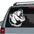 Nice Bear Head car window decals stickers