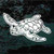 Awesome Sea Turtle Window Decals