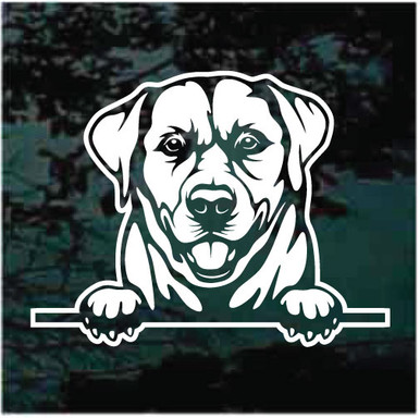 Labrador Retriever In The Window Decals & Stickers | Decal Junky