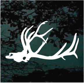  Elk Skull Decal - Elk Hunting Sticker - European Mount