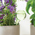 Garden Watering Globe