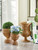 Rattan Pedestal Basket - Small 12"