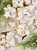 White Enamel + Wood Ornaments - White Trees - Set of 36