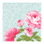 Cocktail Napkins - Peonies
