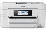 Epson WorkForce Pro WF-C4810DTWF