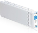 Epson Cyan Ink Cartridge C13T694200