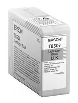 Epson C13T850900 Black Original Ink Cartridge