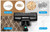 Linsar 3-in-1 Rechargeable Cordless Carpet & Hard Floor Vacuum Cleaner