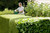 Bosch AHS 50-16 Electric Corded Hedge Trimmer - Black & Green