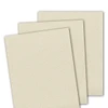 Graphic of Glitter Cardstock - Buttercream which is a cream color.