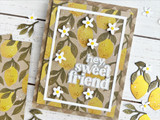 Squeeze the Day Stencil & Clear Stamp Combo