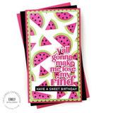 One in a Melon Stencil & Clear Stamp Combo