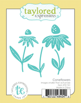 Coneflowers