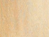 Woodgrain Cardstock - Kraft