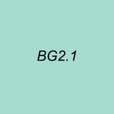 OLO Brush Half - BG2.1 Sea Glass