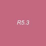 OLO Brush Half - R5.3 Dusty Rose