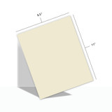 TE Premium Cardstock - Buttercream Frosting