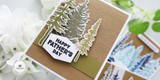 Mix & Match Stamp Set - For Him