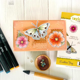 OLO Marker Collection - Vintage Rainbow
