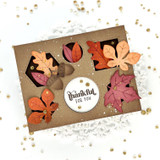 Fun Frames Cutting Plate Die