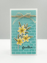 Meadow Aster Stamp & Die Combo