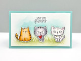 Furever & Ever Stamp & Die Combo Furever & Ever Stamp & Die Combo
