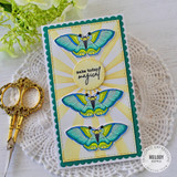 Magical Moths Stamp & Die Combo