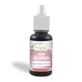 TE Liquid Watercolor - Raspberry Sorbet