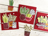 Fronds Forever Stamp & Die Combo