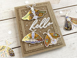 Signature Hello Backer Die