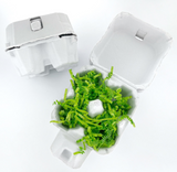 Egg Carton
