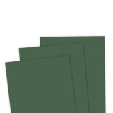 TE Premium Cardstock - Brussels Sprout