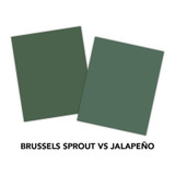 TE Premium Cardstock - Brussels Sprout