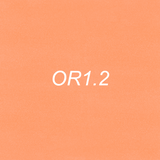 OLO Brush Half - OR1.2 Conch