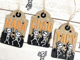 Stitched Alpha Die Set