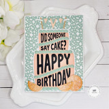 Handmade greeting card with layered cake on it with citrus fruit with did someone say cake? Happy birthday sentiment on it with flowers in background.
