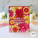 Fantastic Birthday Stamp Set