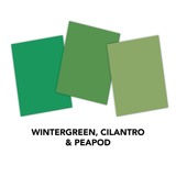 TE Premium Cardstock - Wintergreen