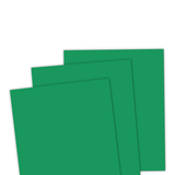 TE Premium Cardstock - Wintergreen