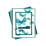 Flit & Flutter Bundle