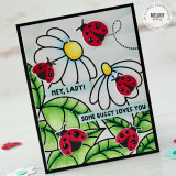 Hey Lady Cutting Plate Die