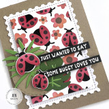 Handmade greeting card with lady bugs and flowers on it with jut wanted to say some buggy loves you sentiment on it.