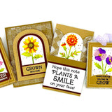 The Insiders - Seeds & Such