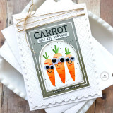Handmade greeting card with three carrots on it and sunshine seed co. sentiment with just add sunshine sentiment on it with cardstock in background.