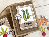 Handmade greeting card with two peas on it and peas sunshine seed co. sentiment and thank you for helping me grow sentiment on it with crafting materials in the background.