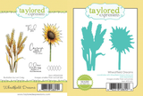 Graphic featuring the Wheatfield Dreams stamp set on the left with detailed illustrations of wheat, sunflowers, and sentiments, and the coordinating die set on the right for crafting dimensional, nature-inspired designs.